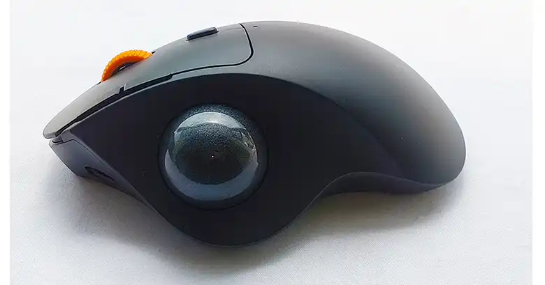 本体画像